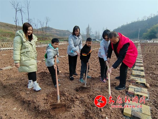 PG娱乐电子汉阴：“共享开心农场”让市民近距离体验田园耕种 - 安康新闻网(图1)