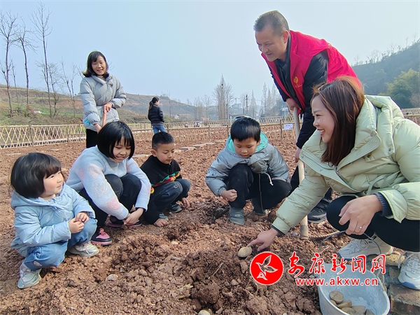 PG娱乐电子汉阴：“共享开心农场”让市民近距离体验田园耕种 - 安康新闻网(图3)