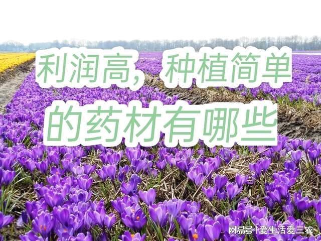 哪些药材种植利润高？适合长期在农村创业的人？请看分析(图2)