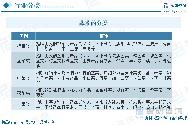 PG娱乐电子2023年中国蔬菜种植行业全景分析：种植面积与产量稳步抬升[图](图1)