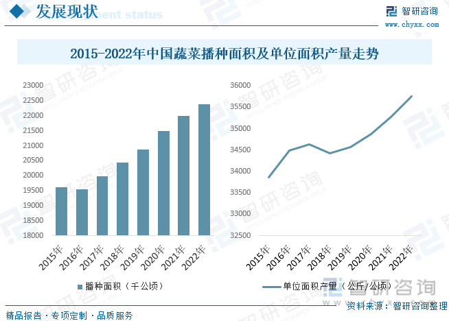 PG娱乐电子2023年中国蔬菜种植行业全景分析：种植面积与产量稳步抬升[图](图5)