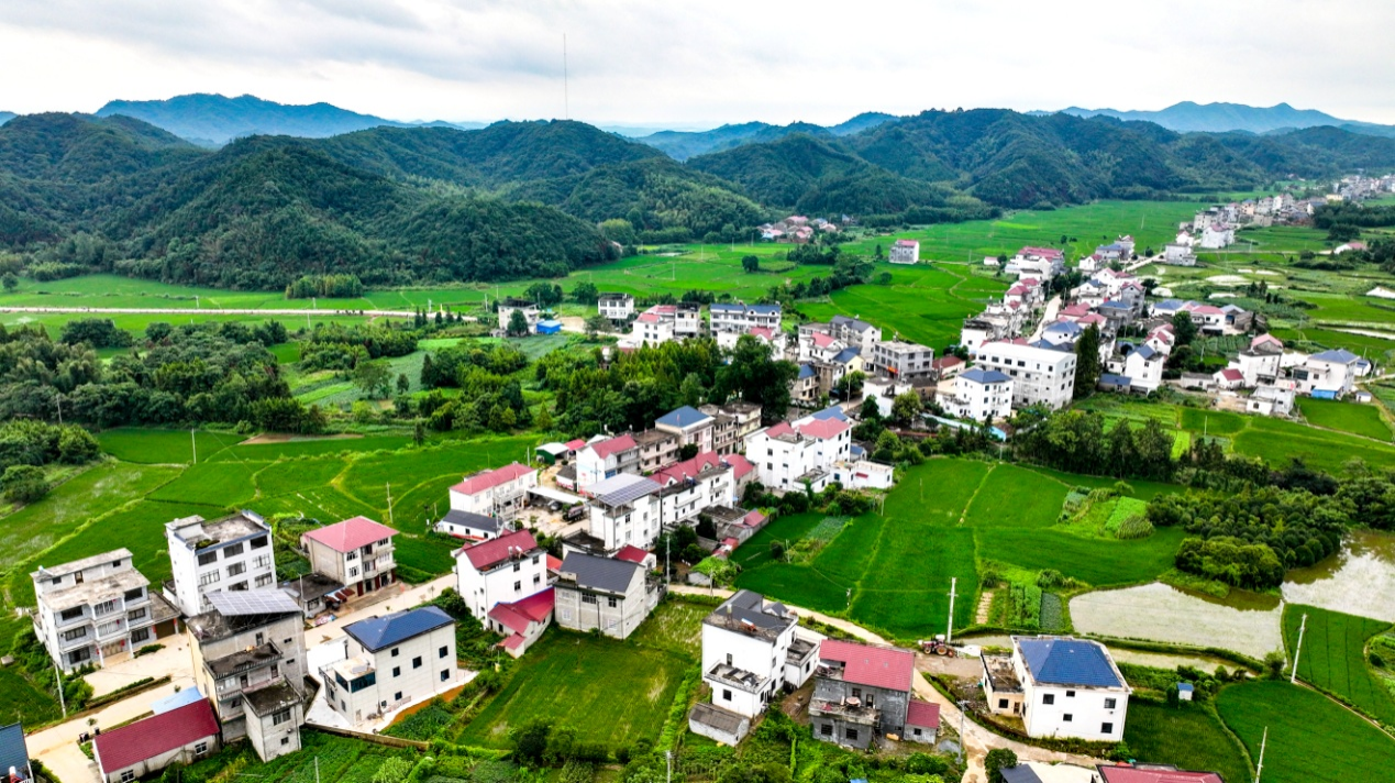 PG娱乐电子东至县青山乡：打造诗意田园 赋能乡村振兴(图3)