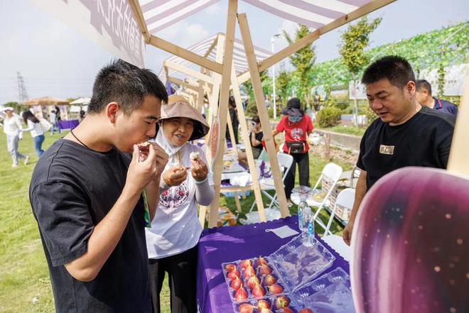 PG娱乐电子加快推进本土葡萄产业高质量发展 罗店镇举办第二届葡萄采摘节(图5)