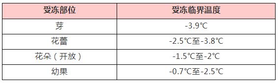 PG娱乐电子游戏官网“换季式”寒潮来袭风沙雨雪齐至！倒春寒真的来了(图3)