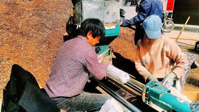 商南县十里坪镇不断培育壮大食用菌产业(图2)