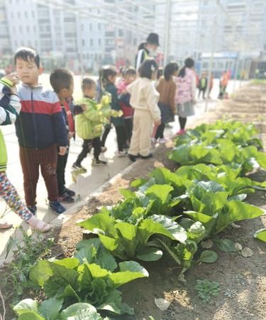 种植园名字大全及寓意幼儿园有诗意的种植园名称(图1)